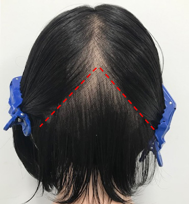 wig+インテリジェンス