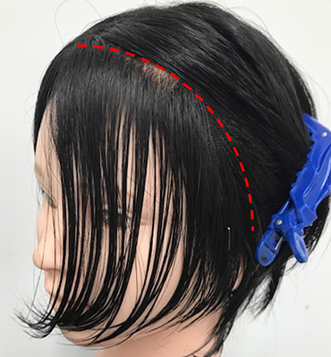 wig+インテリジェンス