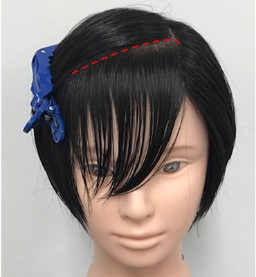 wig+インテリジェンス