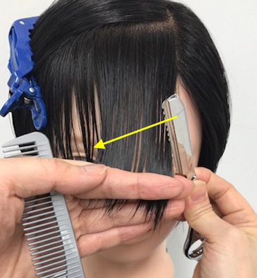 wig+インテリジェンス