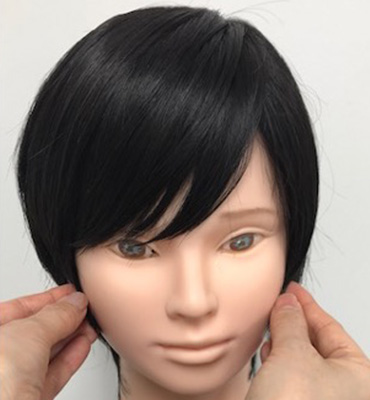 wig+インテリジェンス